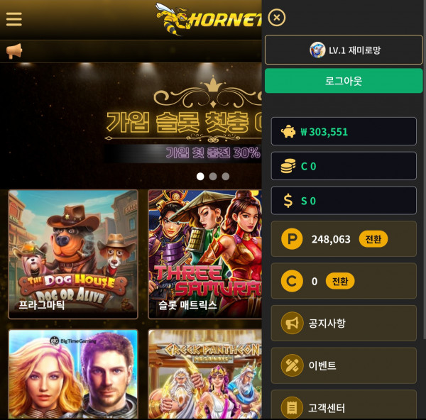 호넷