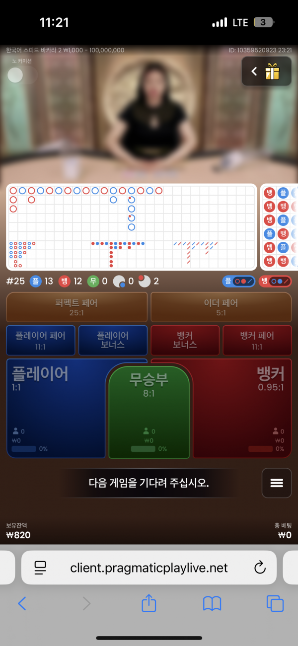 핑카후기