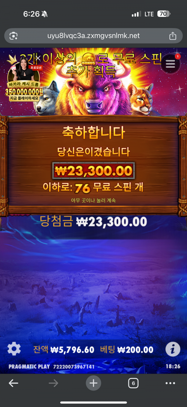 부자카지노