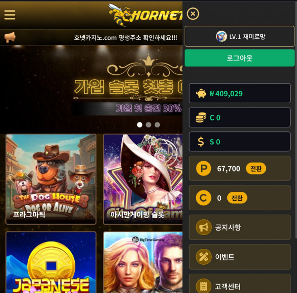 호넷