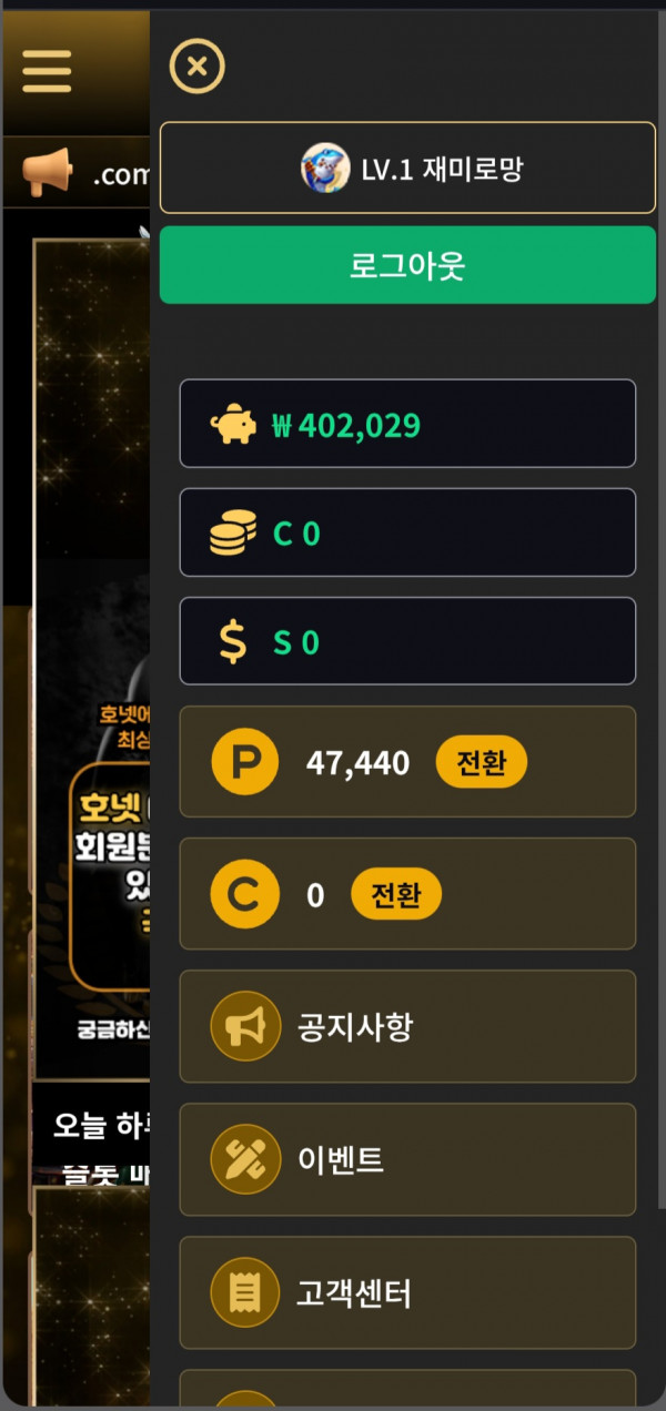 호넷