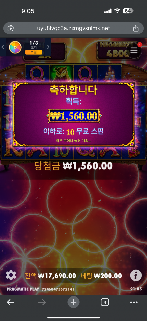 오늘 포전 다 뎅이네