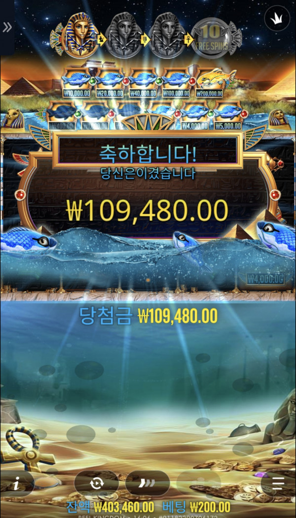 슬롯배당왕 547배