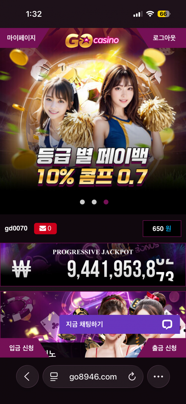 고카지노 후기