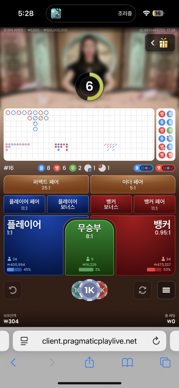 핑카후기