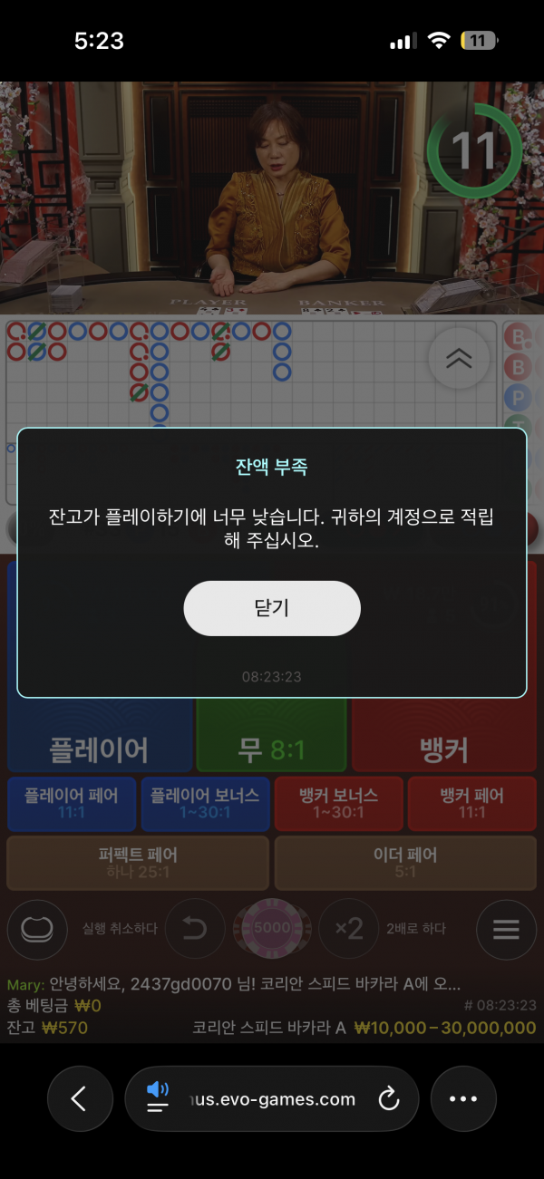 고카지노 후기