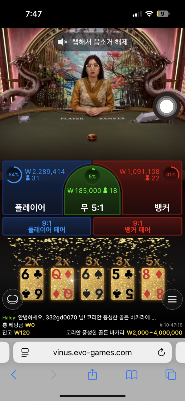 홈카