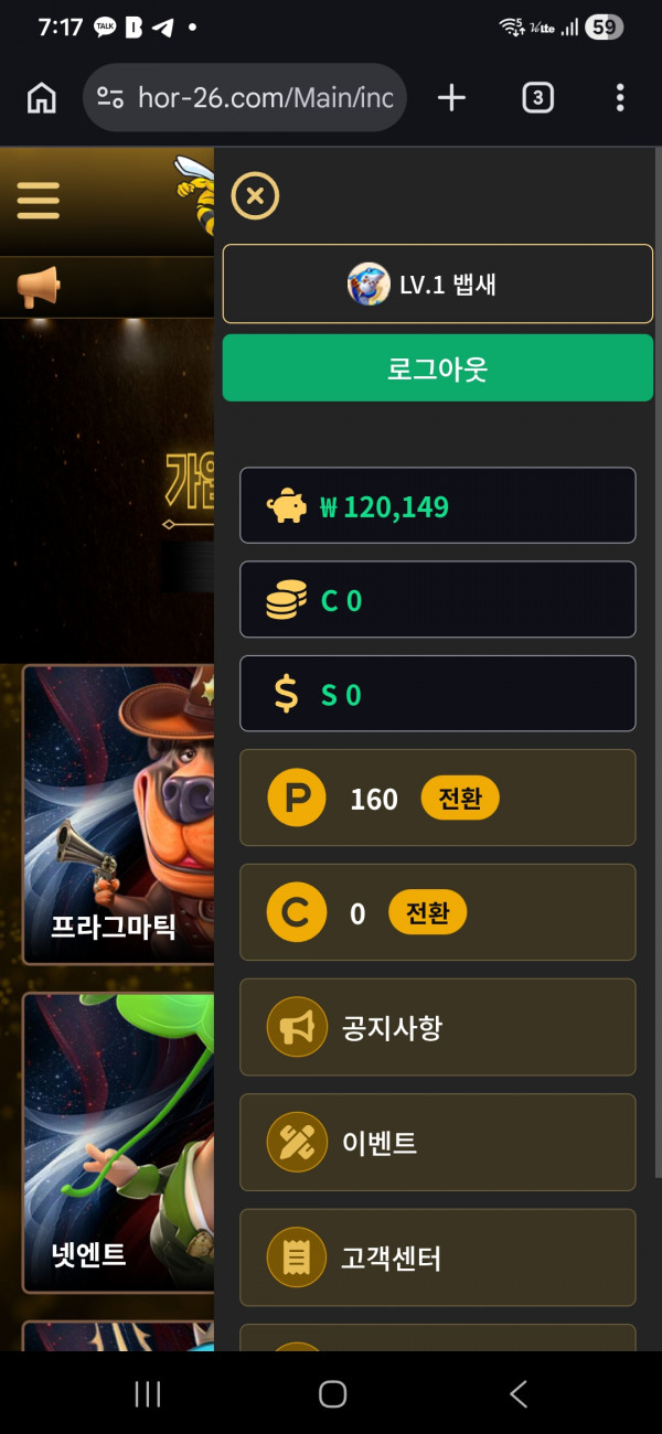 호넷 후기