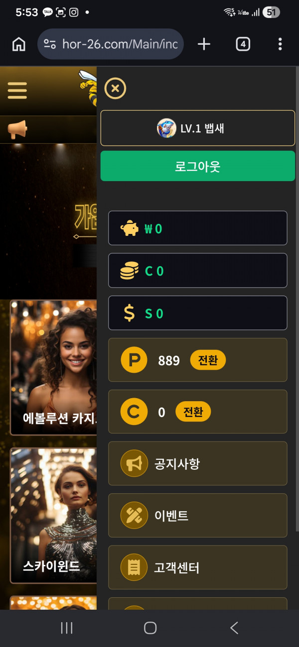 호넷 후기