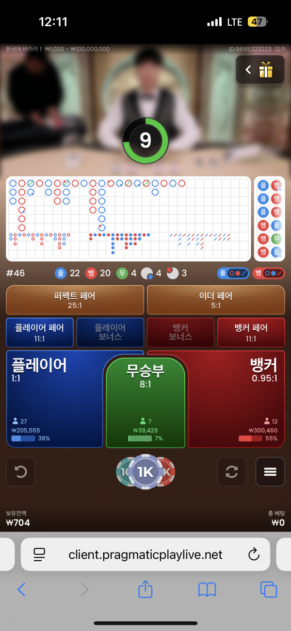 핑카후기