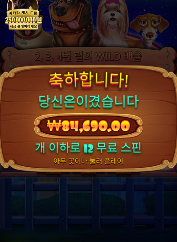 문