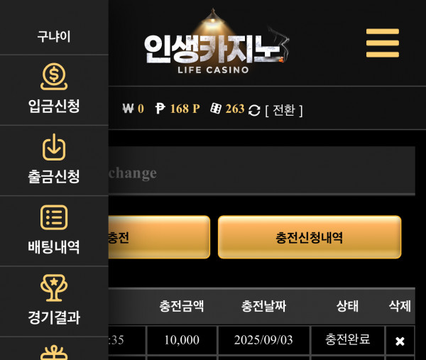 인생