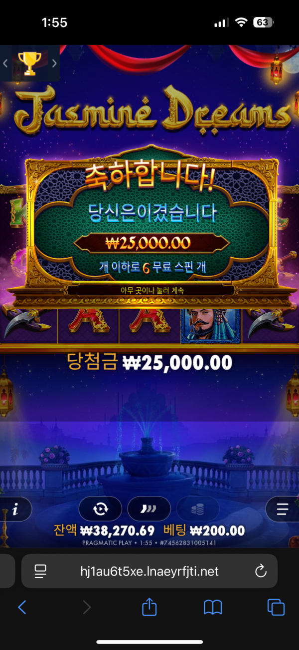 인생