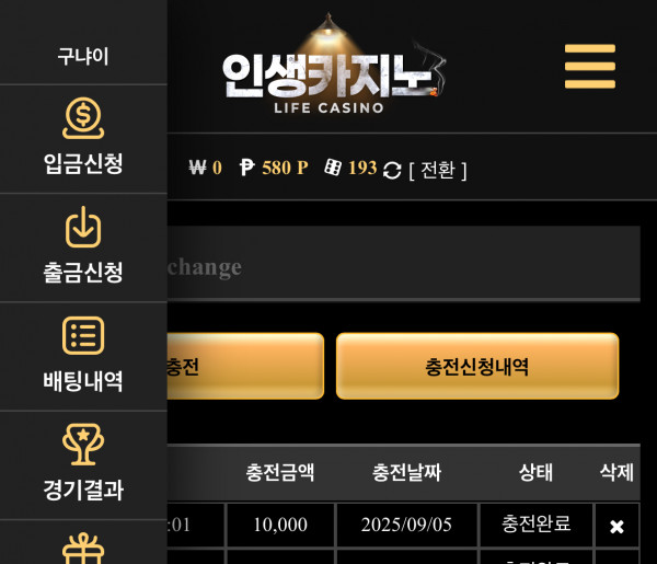 인생