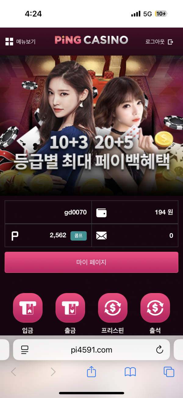 핑카후기