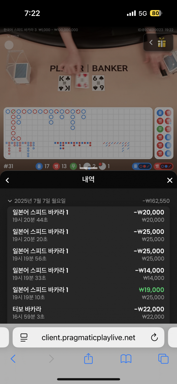 핑카후기