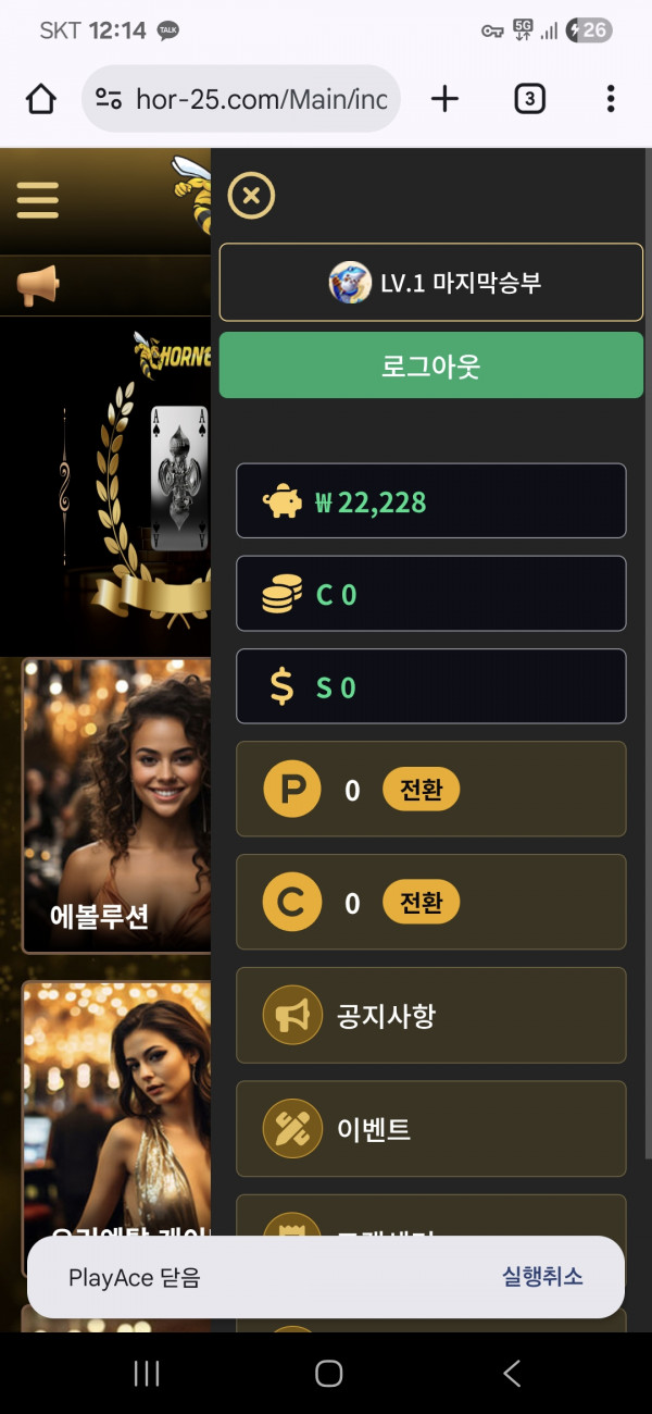 호넷 루징후기