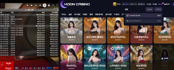 문카지노 후기