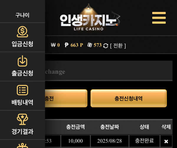 인생
