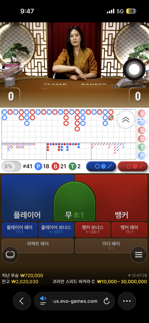 고카지노 후기