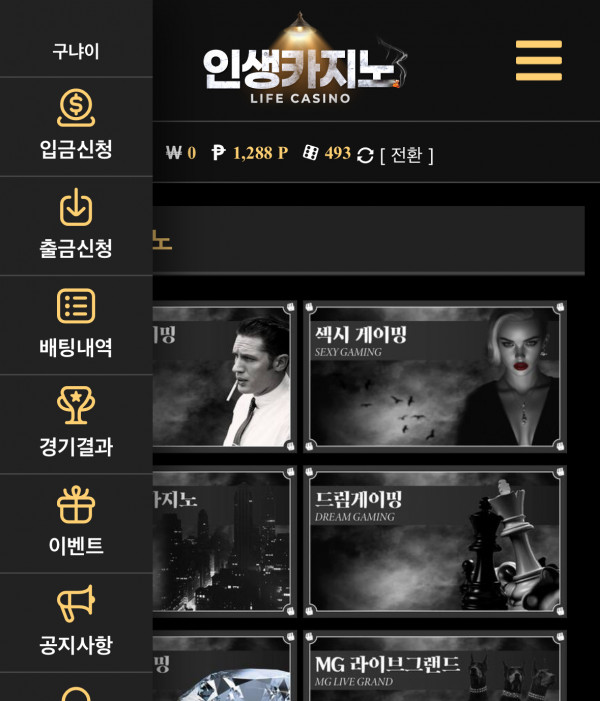 인생 정착포