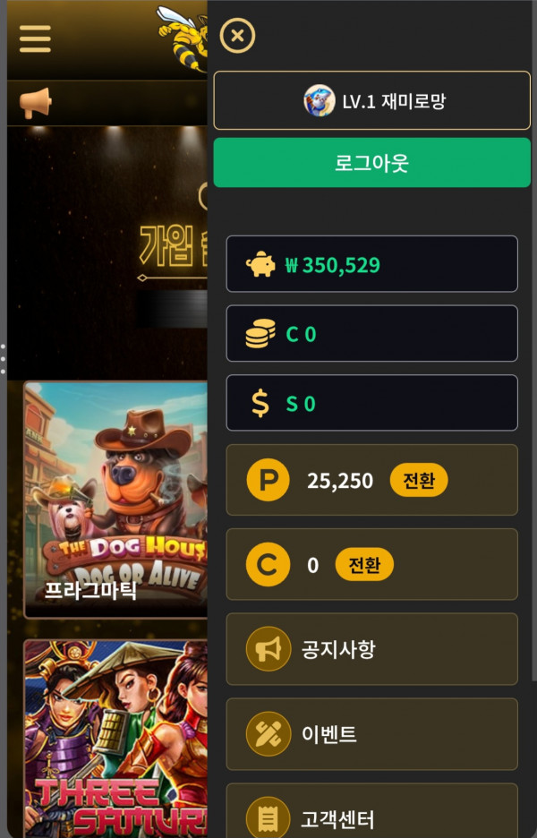 호넷