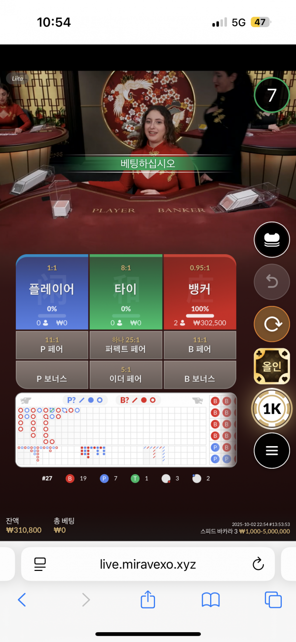 핑카후기