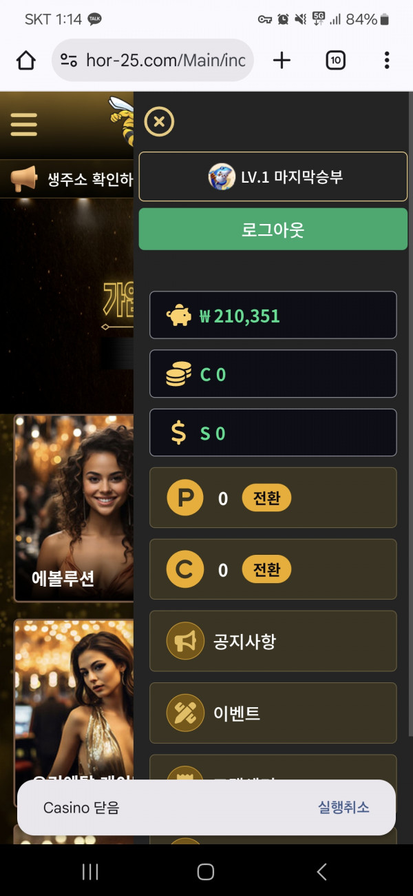 호넷 포전후기