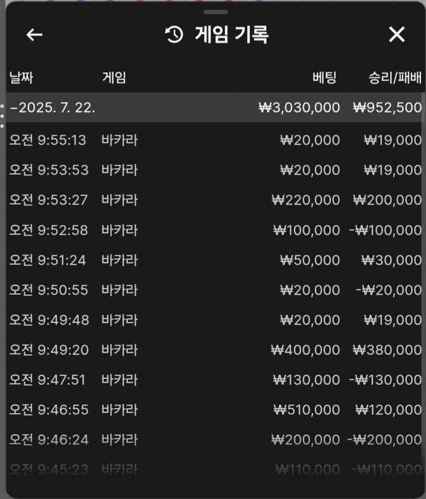 호넷