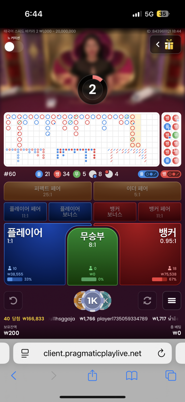 핑키후기