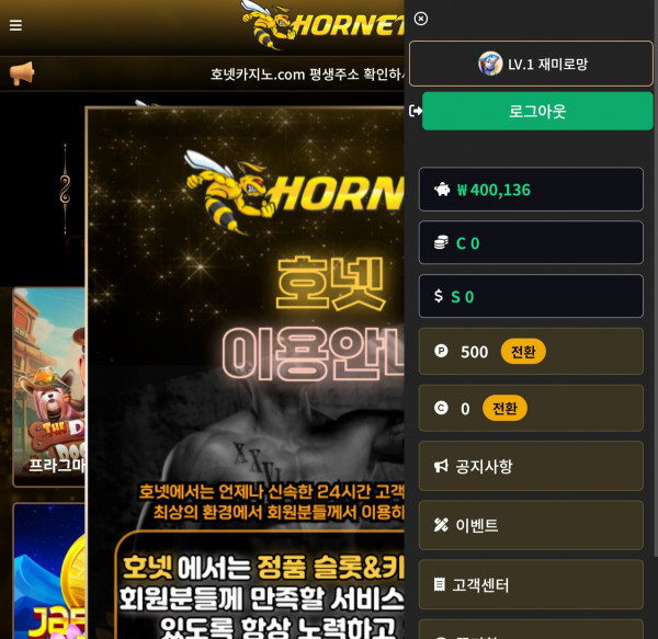 호넷