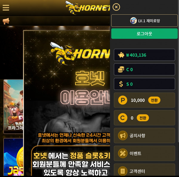 호넷