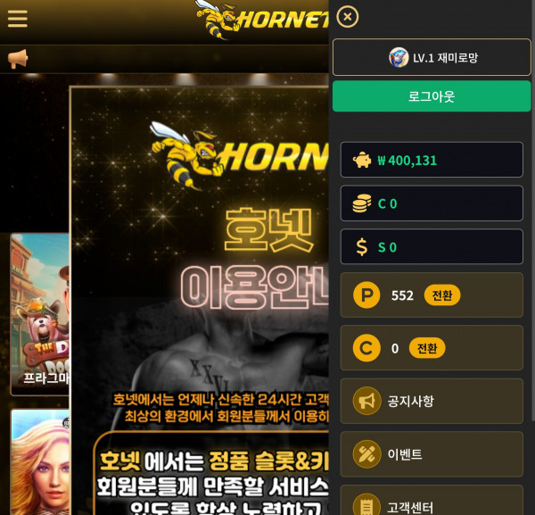 호넷