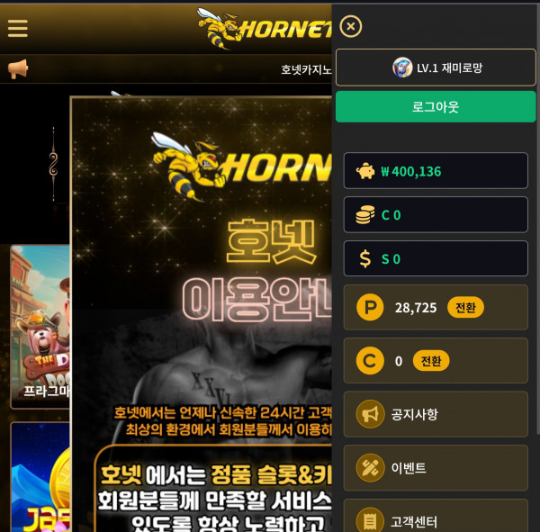 호넷