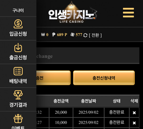 인생