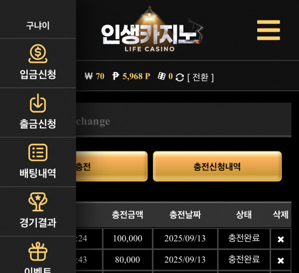 인생