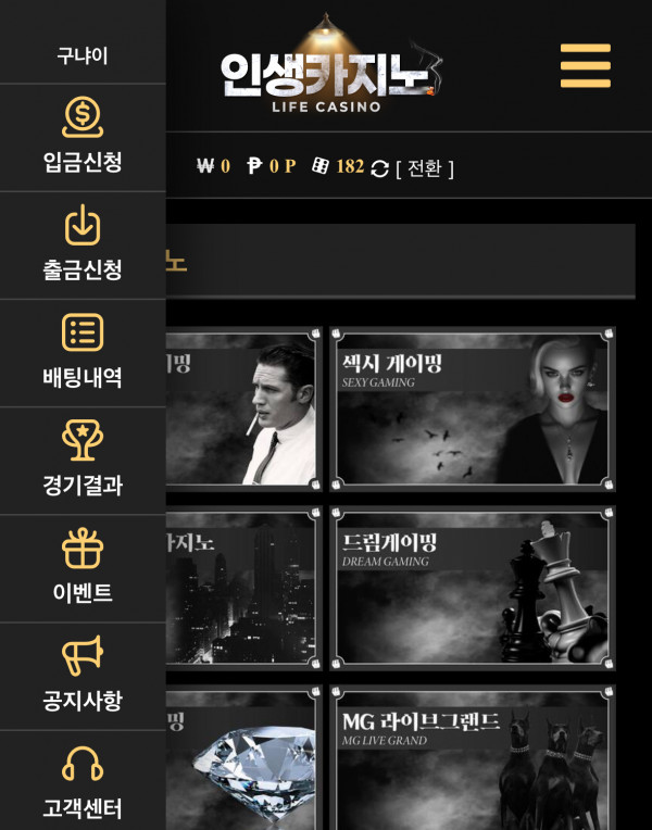 인생