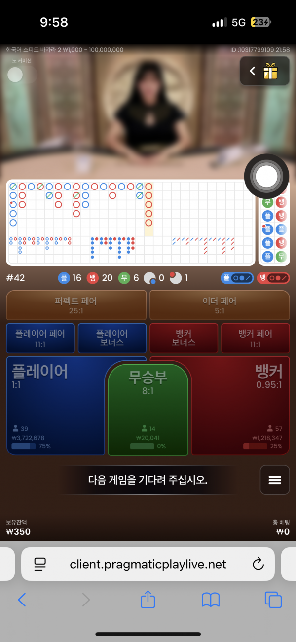 핑카후기
