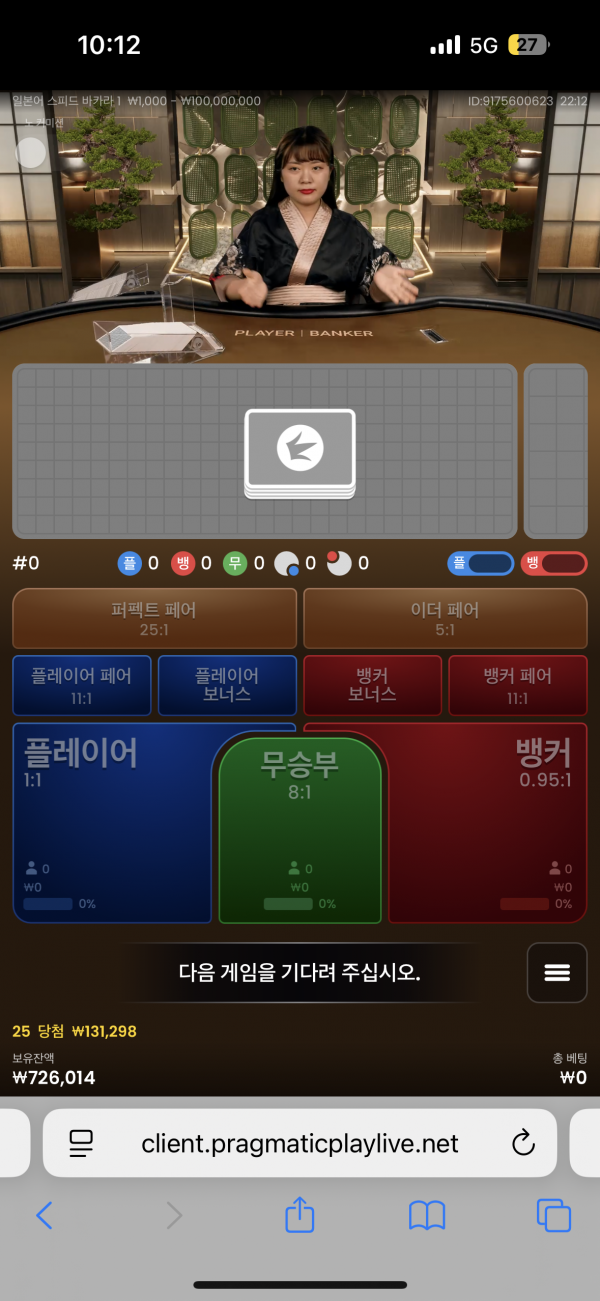 핑카포전