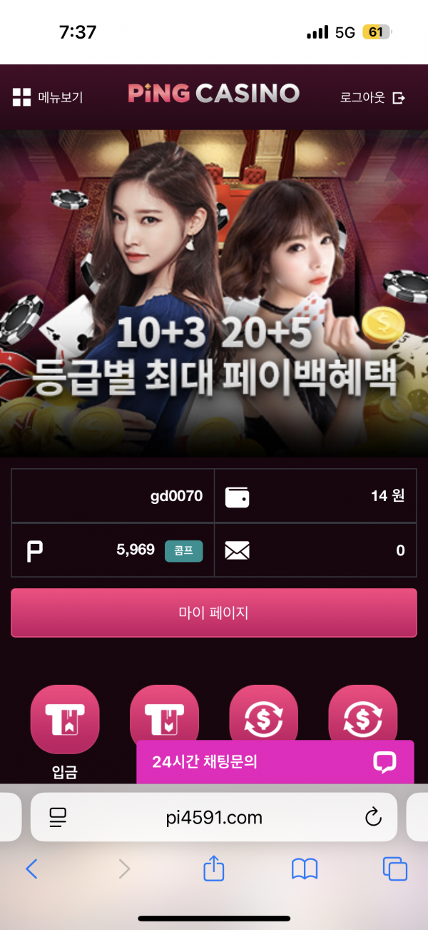 핑카후기