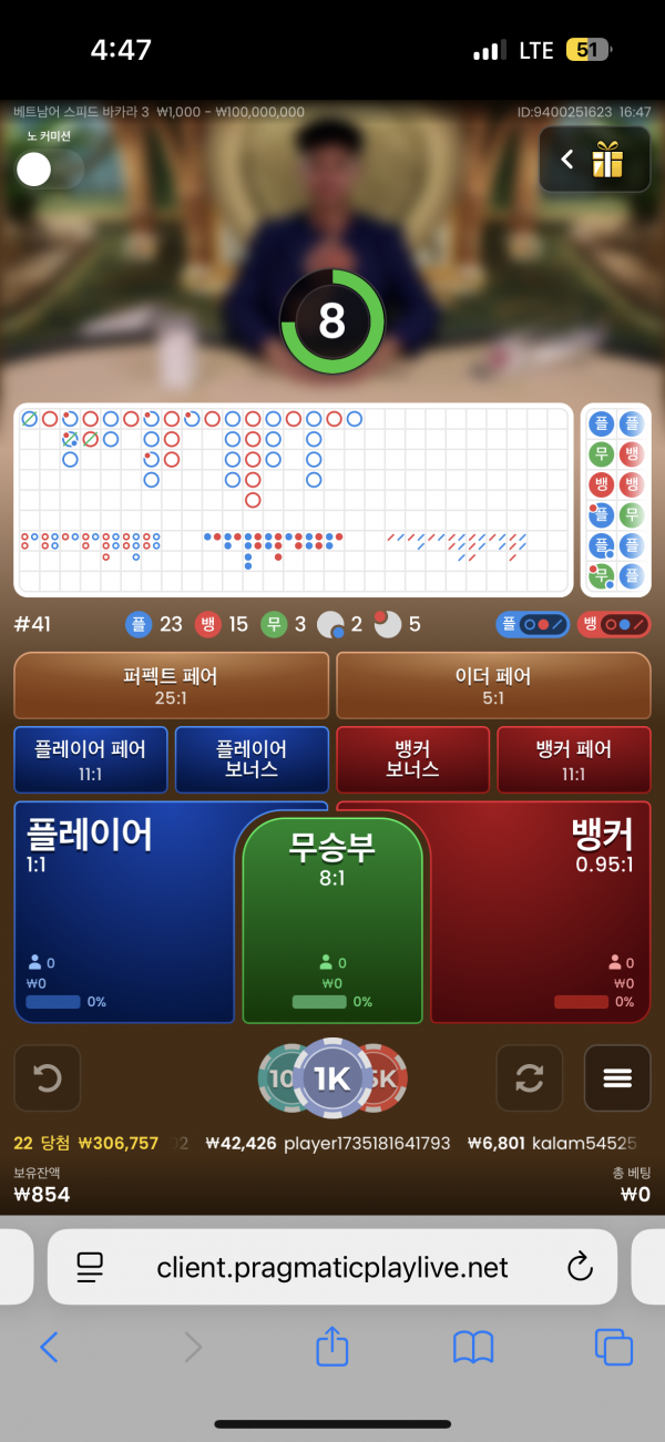 핑카후기