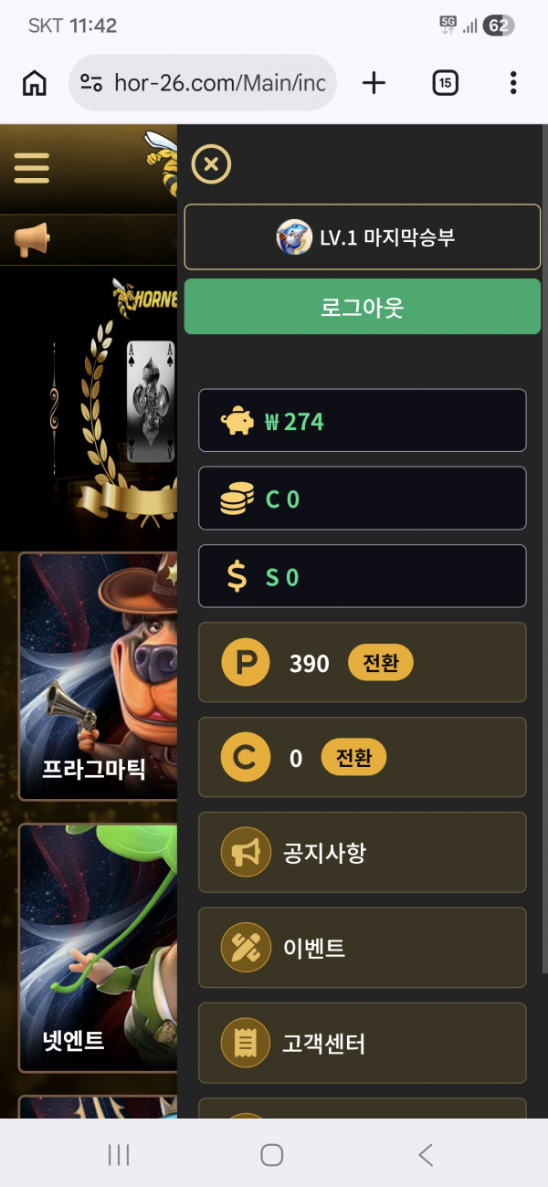 호넷후기