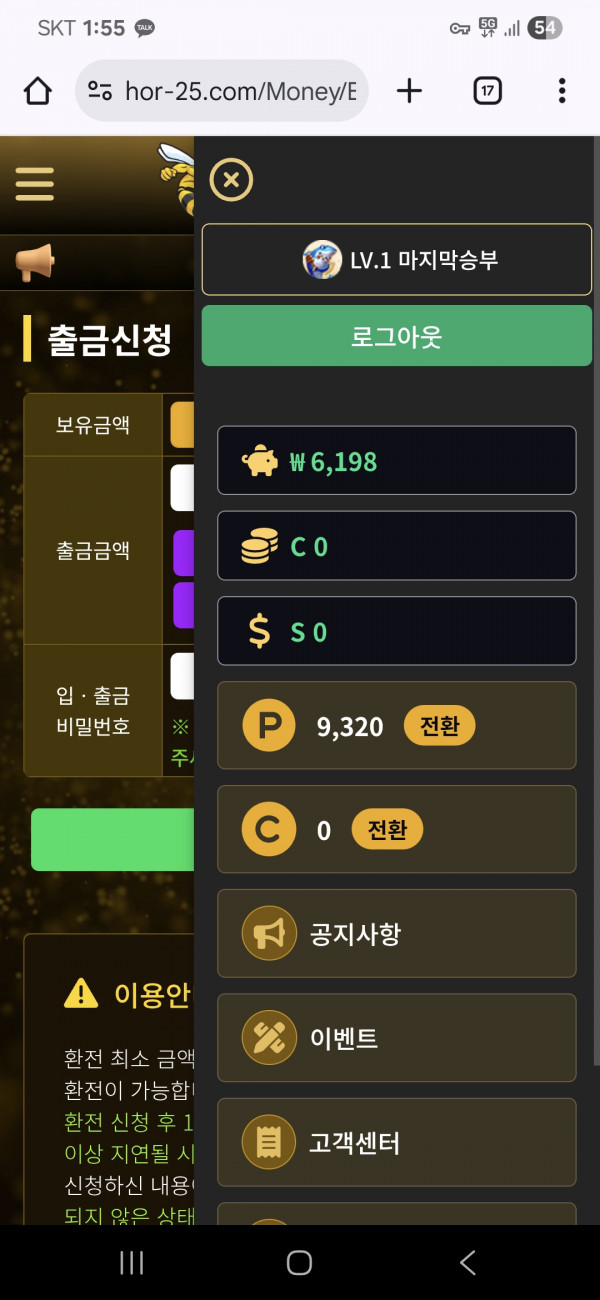 호넷 포전후기