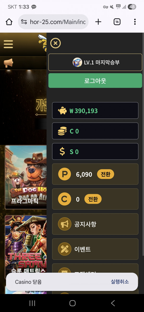 호넷 포전후기