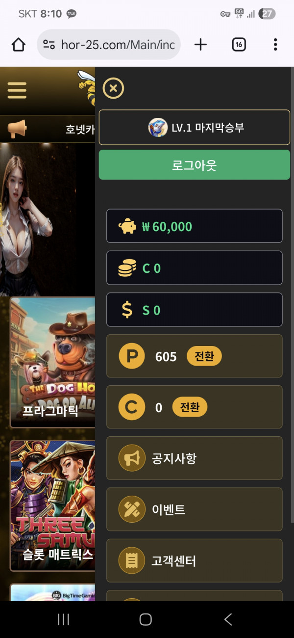 호넷후기