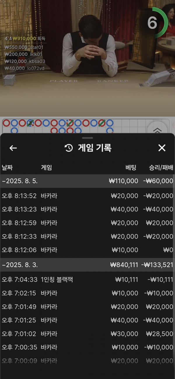 호넷후기