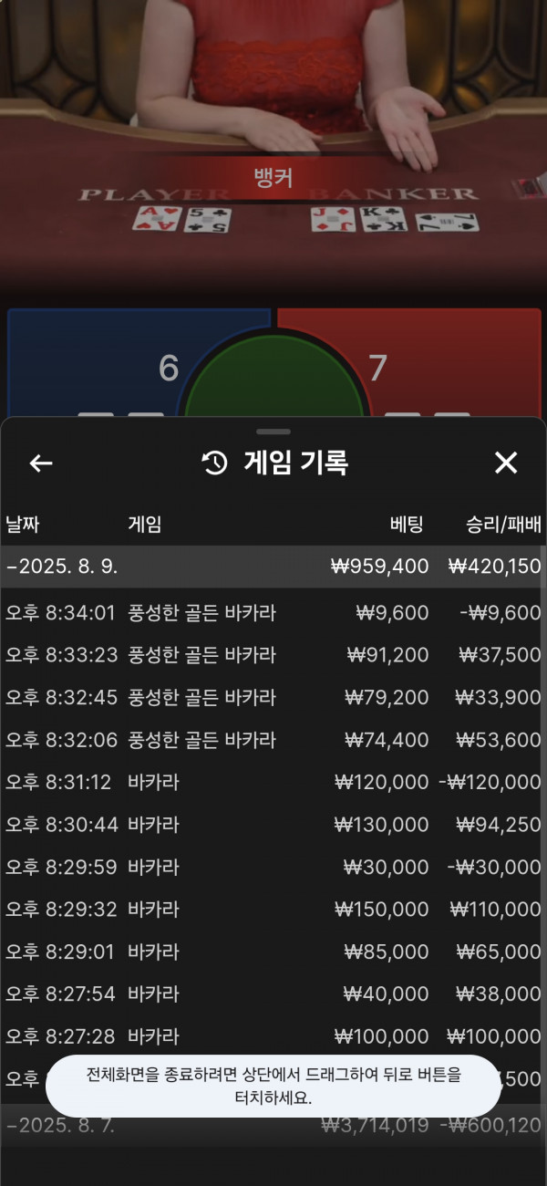 호넷후기