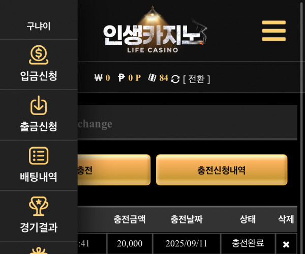 인생