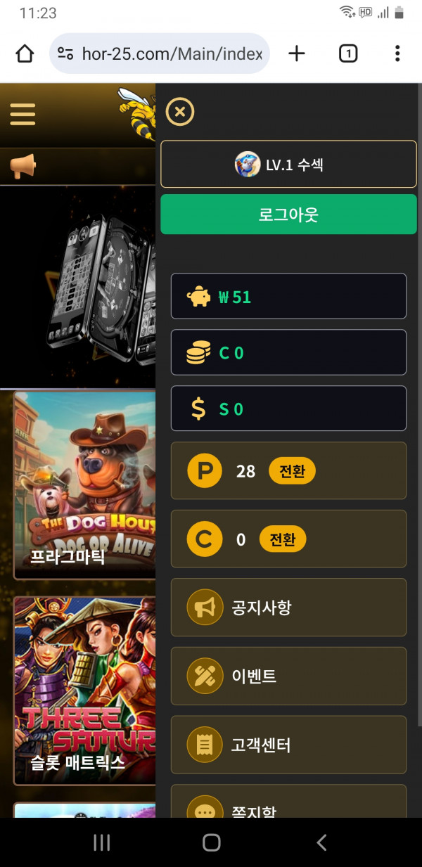 호넷포전후기