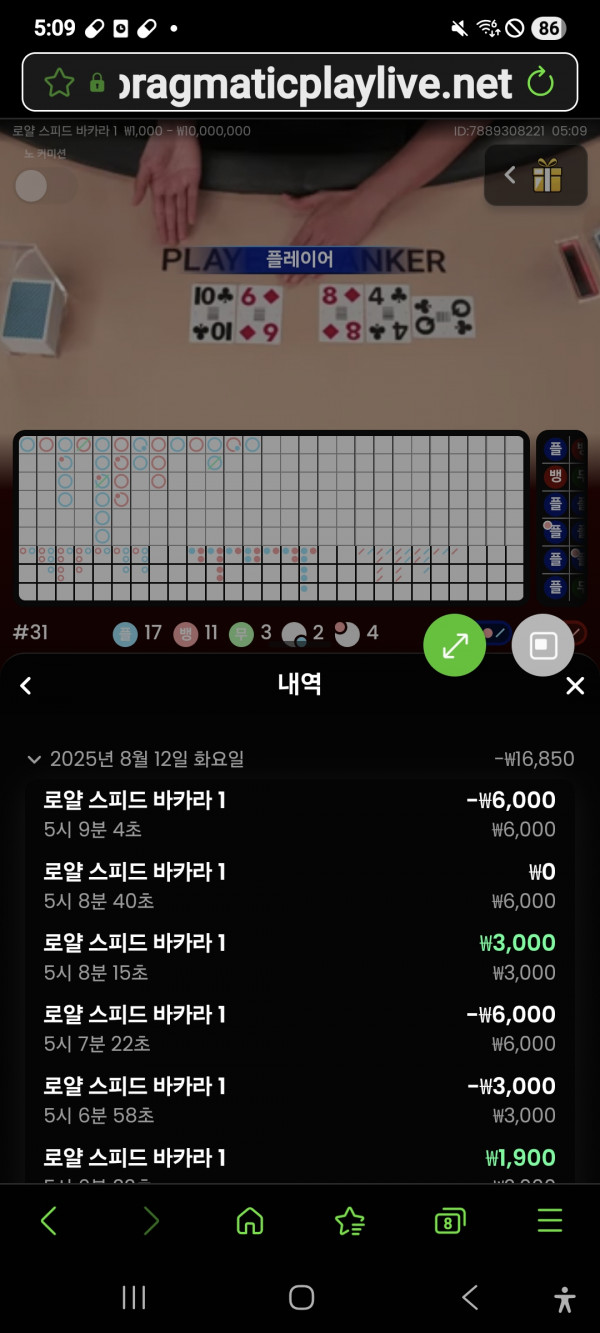 ,부자벳